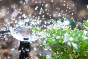 tips for Irrigation System for summer in scottsdale AZ