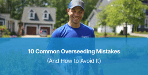10 Common Overseeding Mistakes