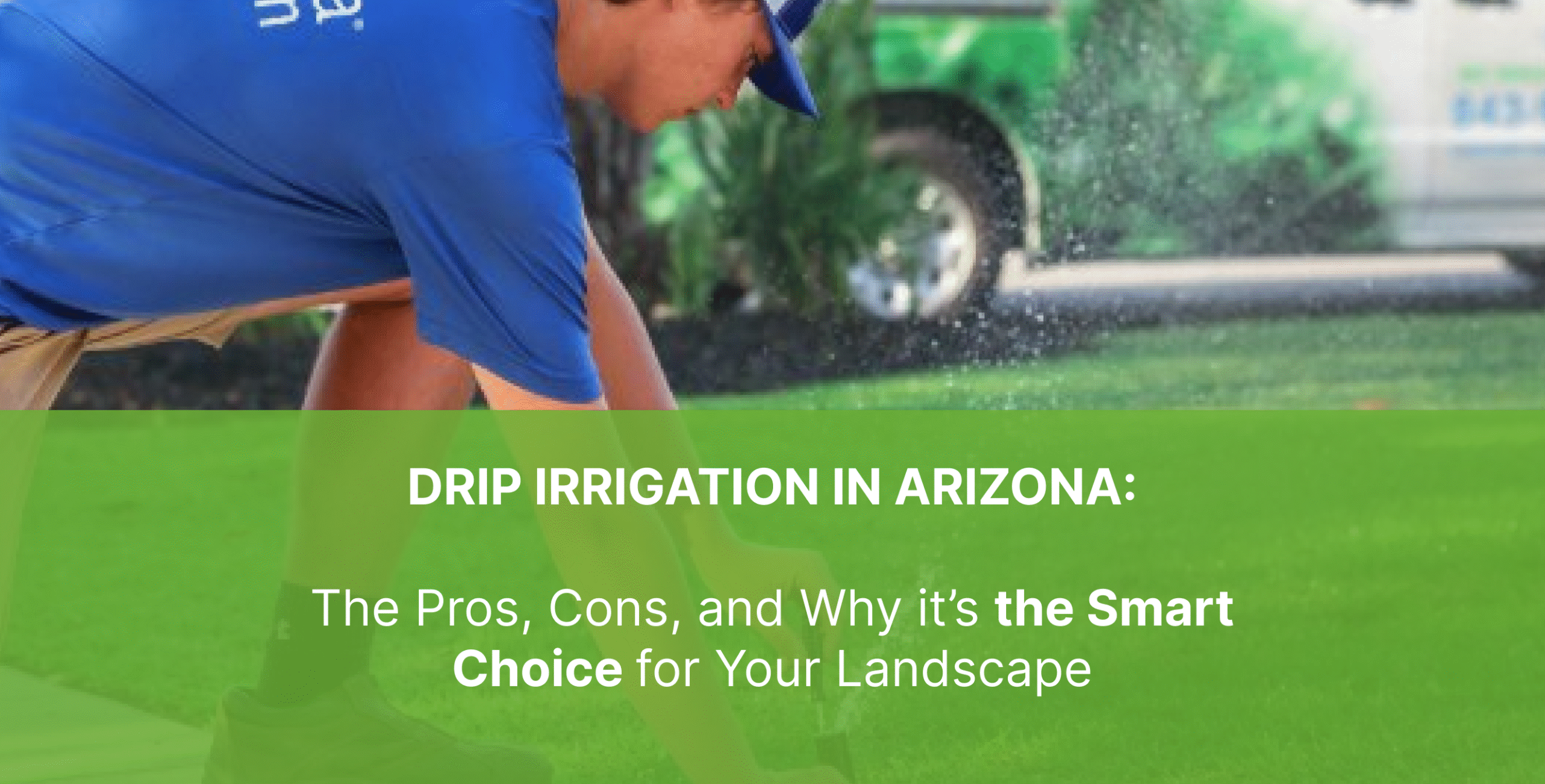 drip iirrigation