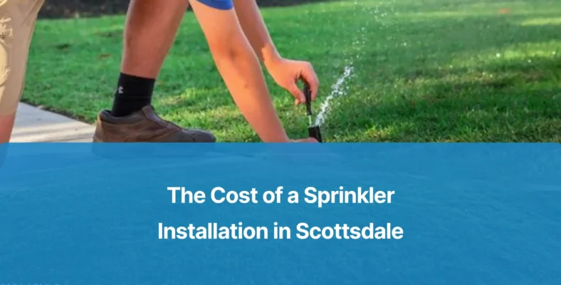 Conserva Irrigation_Blog 3_October
