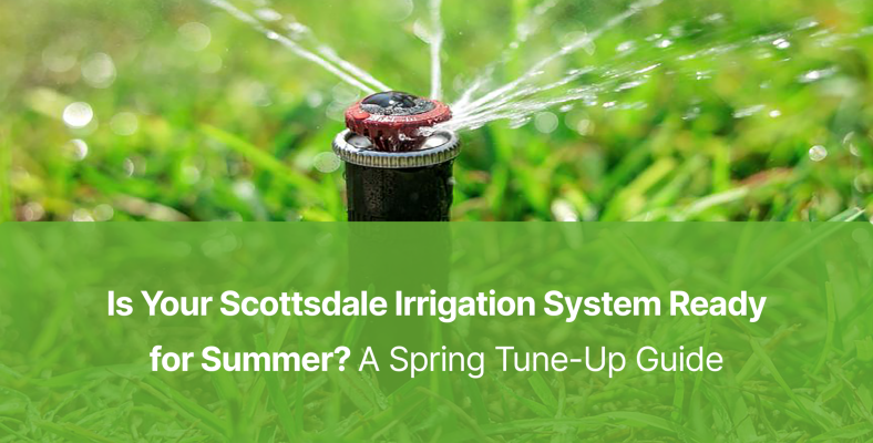 Is Your Scottsdale Irrigation System Ready for Summer? A Spring Tune-Up Guide